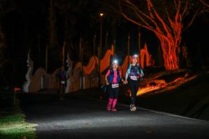 BIB: 196, 
                            <button type="button" onclick="openModal(22510220)" class="btn btn-primary btn-sm float-right btn-popup" data-toggle="modal" data-target=".modal-high-quality">
                        <i class="fas fa-shopping-cart"></i> Add to Cart
                    </button>
                                            <button type="button" onclick="isThisMe(22510220, true)" class="btn btn-success btn-sm float-right btn-popup btn-isme hidden" data-toggle="tooltip" data-placement="bottom" title="นี่คือรูปของคุณใช่ไหม คลิกที่นี่เพื่อเอาเข้าอัลบั้ม">
                        <i class="fas fa-plus"></i> Add to album
                    </button>
                    <button type="button" onclick="isThisMe(22510220, false)" class="btn btn-warning btn-sm float-right btn-popup btn-isnotme hidden">
                        <i class="fas fa-ban"></i> Remove from album
                    </button>